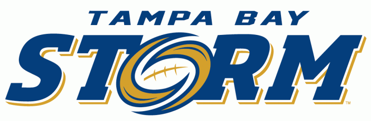 Tampa Bay Storm 2012-Pres Primary Logo iron on transfers for T-shirts